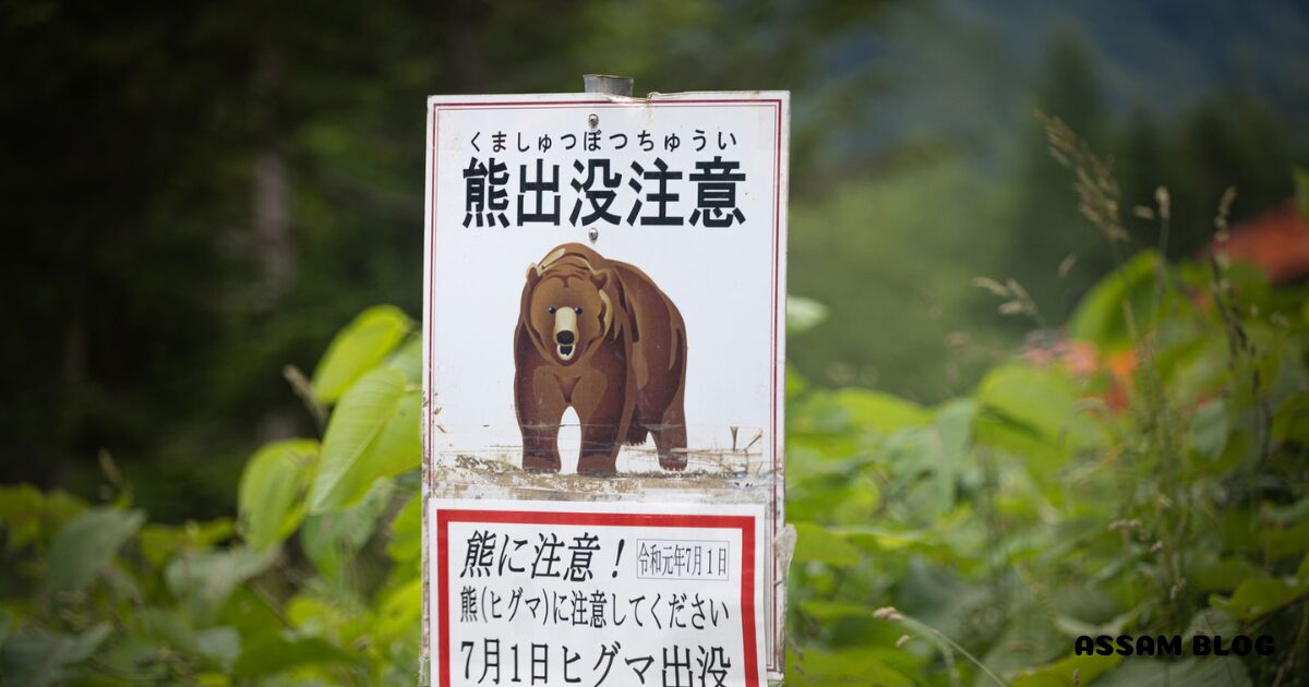 eastern-hokkaido-nature2